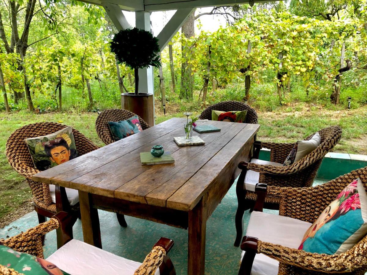 Bohemian Eco Lodge at lake Balaton Kisapati Bagian luar foto